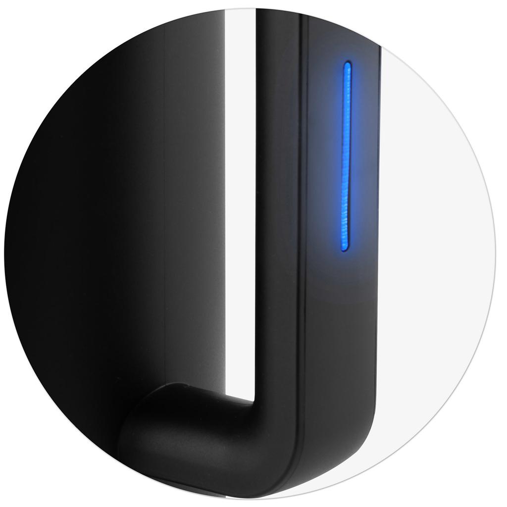 Electric Kettle Berdsen