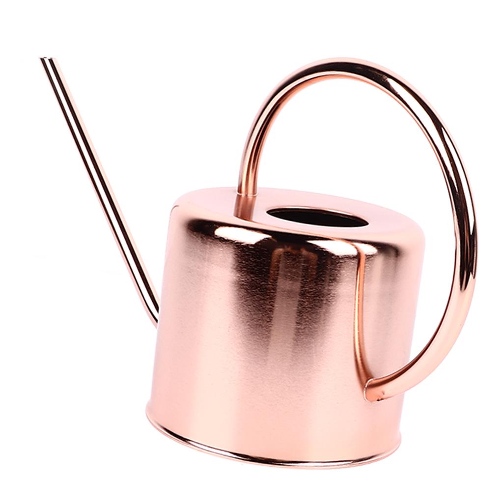Watering Can Stainless Steel Large Capacity Retro Small Long Spout Water Can for Home Garden