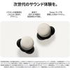 Google Pixel Buds Pro 2 Wintergreen Ga05764 Jp Wintergreen