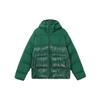 Originals Adicolor Classics Пуховик с капюшоном Мужская верхняя одежда Зеленый IL2566