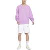 Nike Толстовки Мужские Фиолетовые С круглым вырезом Умеренные Другие DV9830-591