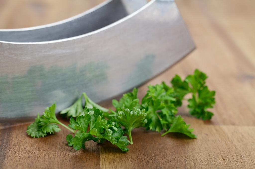 SAFLAX Garden in the Bag - Органический - Петрушка, скрученная мхом - 800 семян - С субстратом в подходящем стоячем пакете - Petroselinum Crispum