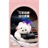 Car Gear Shift Decoration Cute Raccoon Doll Car Interior Ornament