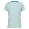 Womens/Ladies Fingal V Neck T-Shirt
