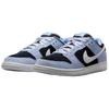 Nike Sb Dunk Low Черный Алюминий HF3063-400