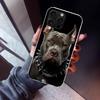 Pit Bull Pet Dog Pitbull Phone Case For iPhone 17 Air 11 13 Mini 14 15 Plus 16 12 Pro Max 16E SE 7 8 Pattern Soft TPU Back Cover