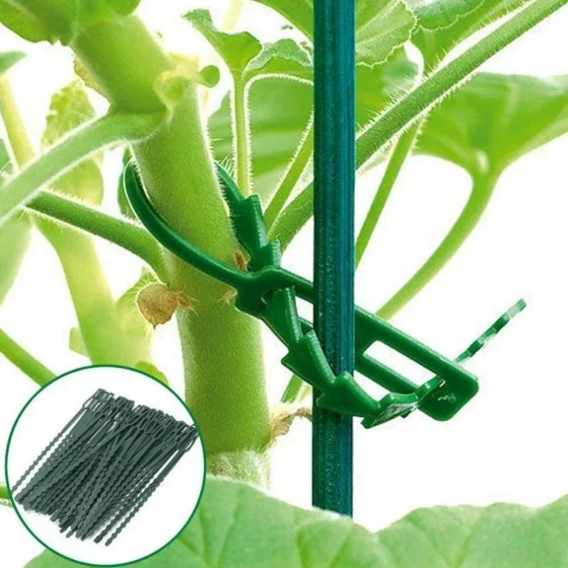50pcs Adjustable Plastic Plant Cable Ties Reusable for Garden Supplies Tree Climbing Support Plant Vine Tomato Stem Clip