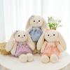 Cute Princess Rabbit Plush Toy Girl Birthday Gift Skirt Lop-eared Rabbit Rag Doll Cure Doll