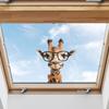 Painted Fun Wearing Glasses Giraffe Glass Window Beautify Decorative Wall Stickers Electrostatic Uv