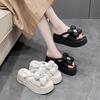 Thick-bottomed Soft-bottomed Cool Slippers Female Outer Wear Fairy Wind 2025 New Summer Internet Celebrity Fashion Versatile Muffin Slippers