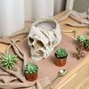 Кашпо в виде черепа, смола, кашпо в виде человеческого черепа, атмосферостойкое, готическое кашпо для посадки суккулентов, для использования в помещении и на улице