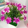 With Pots Artificial Rose Potted Plant Miniscape Fake False Plants  Wedding Party Decortion