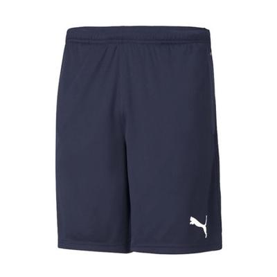 Тренировочные шорты Team RiSe Puma Men S ShortS
