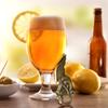 Wholesale 5pcs Retro Fly Dragon Handle Metal Beer Openers Unique Beer Gift Kitchen Bar Party Accessories Tools Bottle Openers