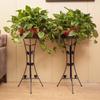 European Style Multi-tier Iron Flower Stand