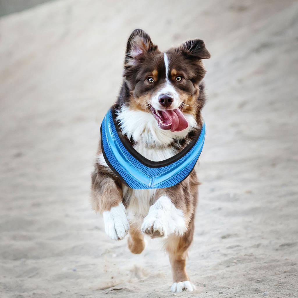 Мягкий жилет для собак, светящийся светодиодный мигающий шлейка для домашних животных, практичный, зеленый нейлон