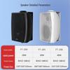 Diyou Wall-Mounted Conference & Broadcast Speaker System CN plug (adapter included)