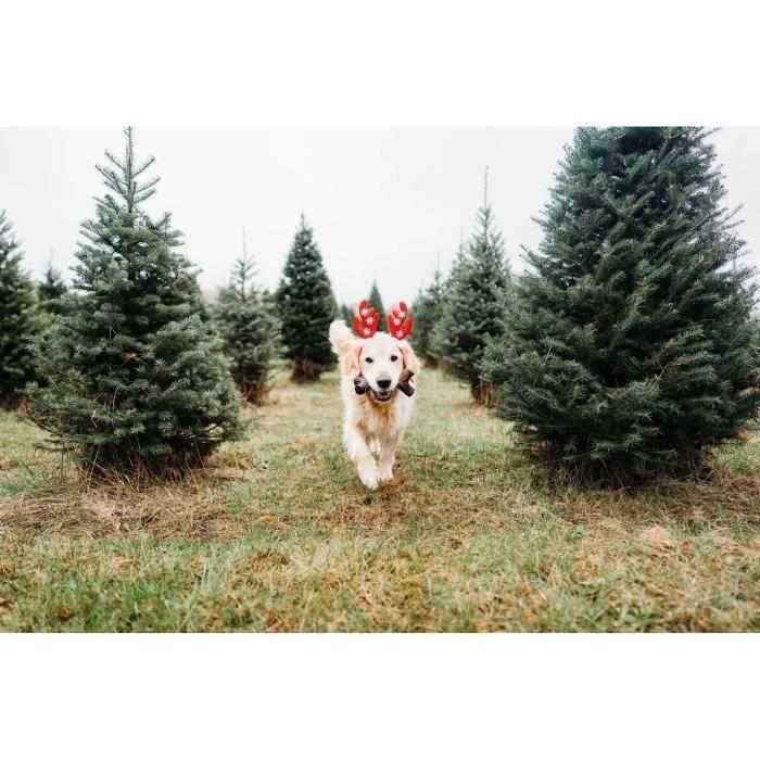 Os à mâcher pour chien adulte - BENEBONE - Maplestick L - Saveur bacon et bois d'érable - Résistant et durable