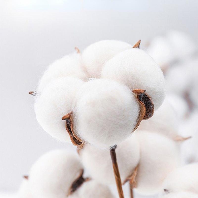 Cotton Embroidery Patch Embroidery Four-piece Cotton Quilt Cover Sheet Double Quilt Cover Sheet Bedding Set