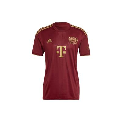 Bayern Football FCB Wiesn Jsy пуловер с круглым вырезом 22/23 мужские топы бордовый IC1435