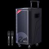 Портативная PA-система HiVi MF12 12 дюймов с двумя микрофонами (Китайская версия)