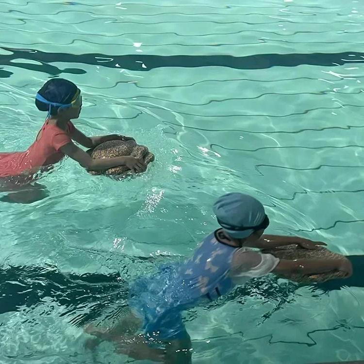 Детская балансировочная доска для тренировки равновесия Детский сад Центр раннего развития Тренировочные балансировочные ступеньки через реку