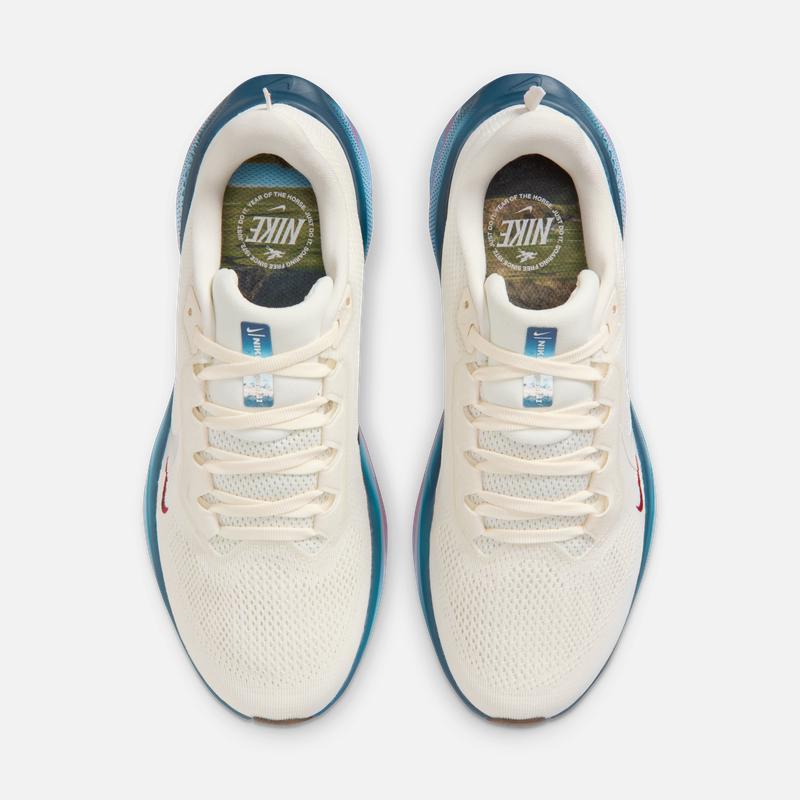 Nike Женские профессиональные беговые кроссовки - Новогоднее издание - NIKE PEGASUS 41 IQ1153