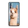 Милый Чехол для Телефона с Альпакой для Oppo Reno8 Reno7 Reno6 Pro A54 5G Find X6 X5 A53 A52 A9 A15 A95 A17 A16 A76 A57 A31