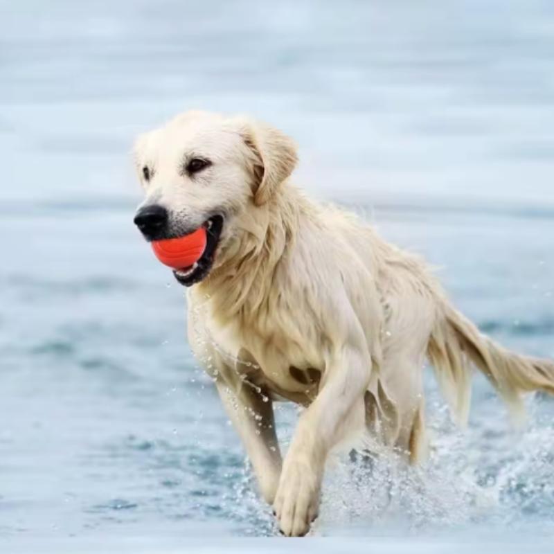 Dog Toy Rubber Ball Bite-resistant Ball Toy for Dogs Puppy Teddy Pitbull Red Color Solid Ball S-XL Pet Supplies