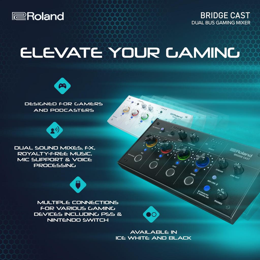 Roland Roland BRIDGE DAC CAST/Gaming Amplifier/Audio Interface/Distribution/Gaming Mixer/Audio Mixer/Mac/Windows/Bridge Cast/Black/Black