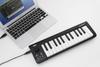 KORG microKEY MIDI-клавиатура включает (25 клавиш, USB, с питанием, плагины) - DTM/Контроллер - MICROKEY-25