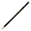 Sakura Watercolor Pencils 10 Pieces Cray-Pas EPY#49(10) Black,
