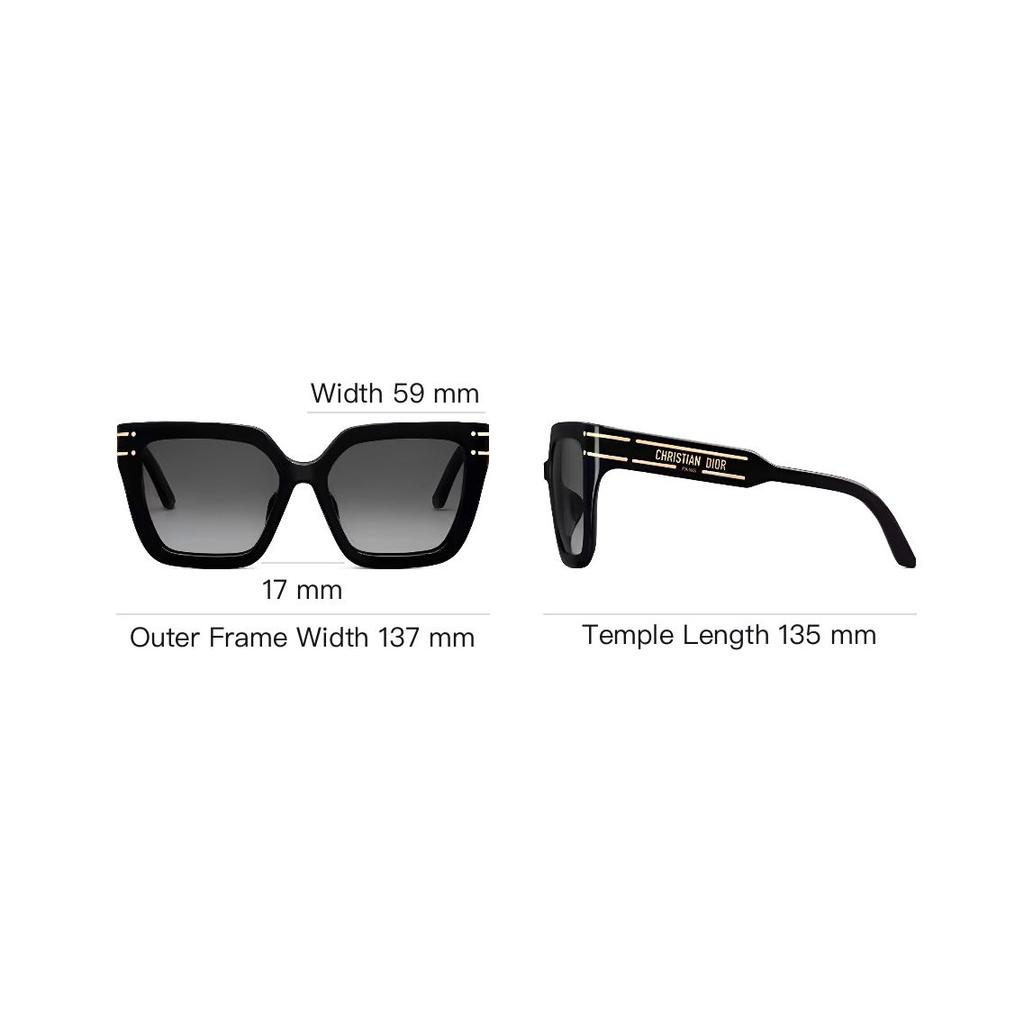 Dior Signature S10F Butterfly Sunglasses Women sunglasses SGTS10FXR-10A1