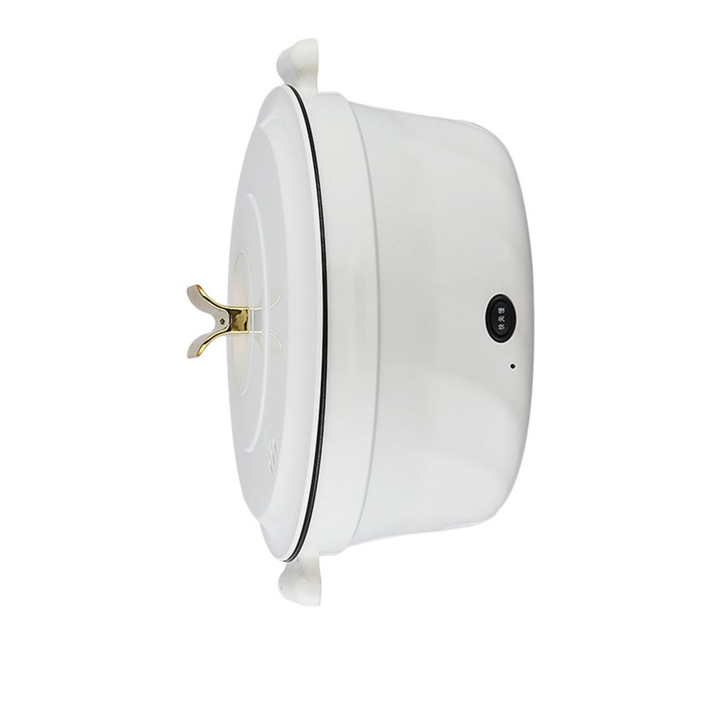 Electric Pot Multifunctional Dormitory Student Cooking Pot Electric Cooker Standard