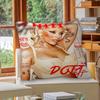 Newly Pop Rapper D-Doja C-Cat Single Pillow Cushion Cover Pillowcase Living Room Sofa Home Decor