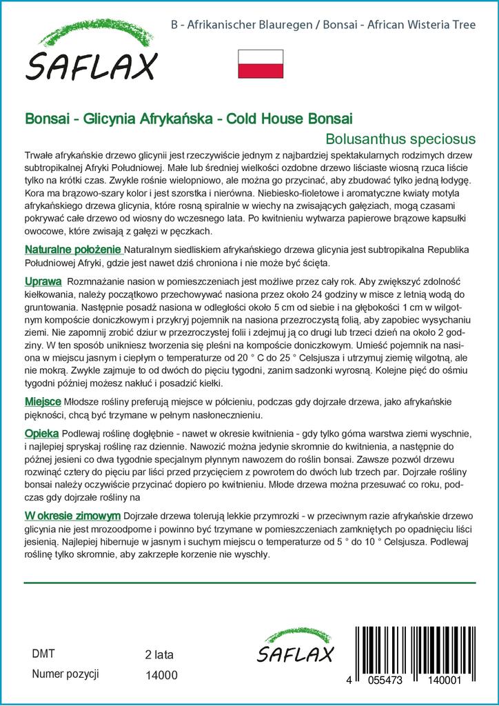 SAFLAX Бонсай - Дерево глицинии африканской - 15 семян - С горшечным субстратом для лучшего выращивания - Bolusanthus speciosus