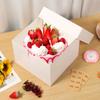 10Pcs 10 Inch Paper White Cake Box Set With Round Board Anti Deformation Clear Window Paper Square Cake Container for Pastries