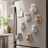 Magnetic Back Pet Hair Keepsake Holder Clear Pet Hair Memorial Box  Cat Dog Keepsake