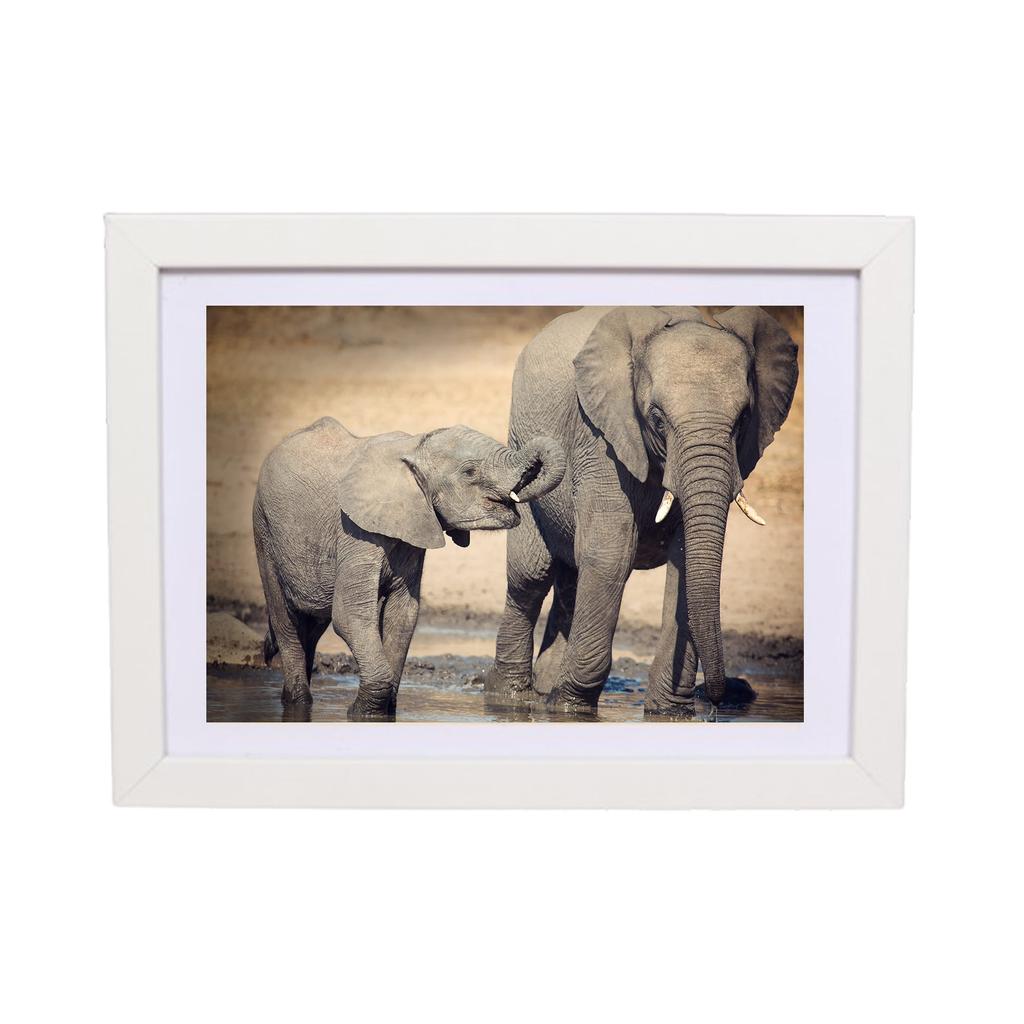 Photo Frame 15/15 Basic M043 White 15X21 Cm