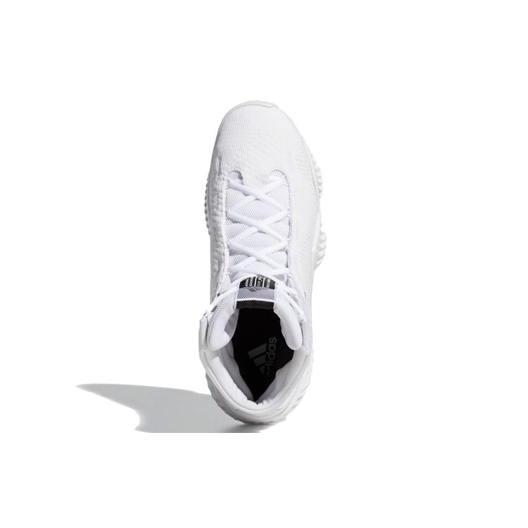 adidas Pro Bounce 2018 Бело-черные мужские кроссовки Cloud-White Core-Black Crystal-White FW5745