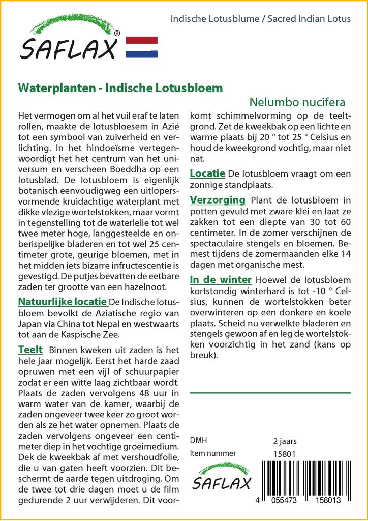 SAFLAX Garden in the Bag - Священный индийский лотос - 8 семян - С субстратом в подходящем пакете - Nelumbo nucifera