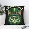 Наволочка Leprecat Кот Святого Патрика Смешной Ст. Наволочка с принтом для вечеринки в честь Дня святого Патрика для дивана, домашний декор, современные наволочки