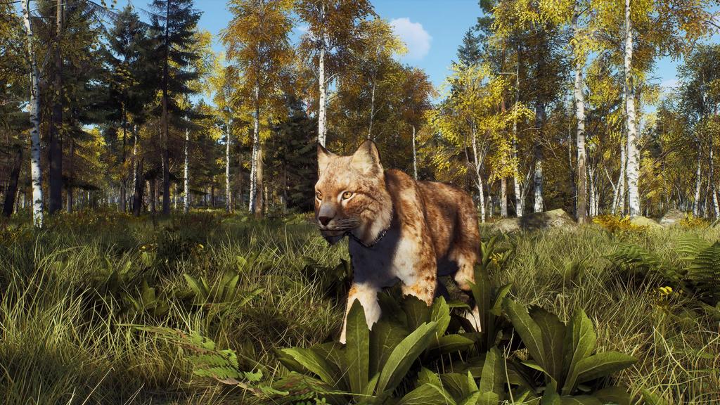 Way Of The Wild Expeditions North PS5 Hunter (Import America) -