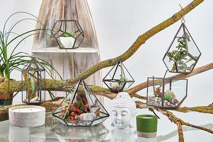 Glass Terrarium Cube On Corner
