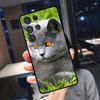 Чехол для телефона Samsung Galaxy S25 Ultra S24 S22 S21 S23 Plus S20 FE S9 S10 S24 FE с изображением британской короткошерстной кошки