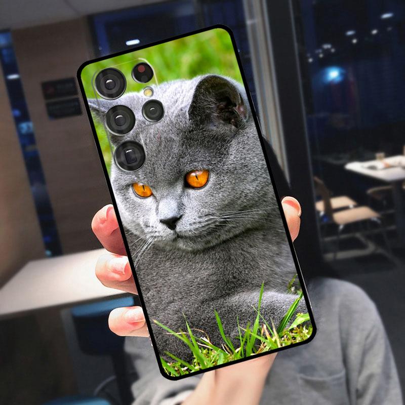 Чехол для телефона Samsung Galaxy S25 Ultra S24 S22 S21 S23 Plus S20 FE S9 S10 S24 FE с изображением британской короткошерстной кошки
