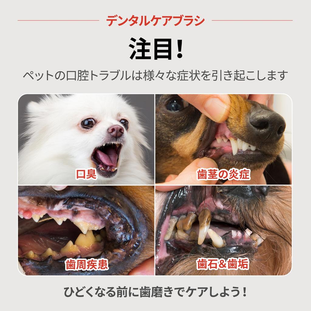 Щетка для ухода за зубами JAYU PET с мягкой зубной щеткой для удаления зубного камня и налета у кошек с горизонтальной головкой и корпусом (Мягкая щетина) - удаление и S-образная кривая