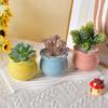 6 шт./набор цветных цветочных горшков для суккулентных растений, керамический горшок для кашпо, украшение для дома и офиса, горшок для бонсай