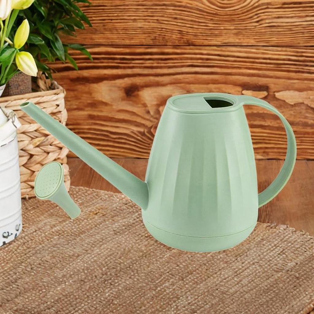 2 Liter Watering Can with Extended Spout for Indoor And Garden Plants