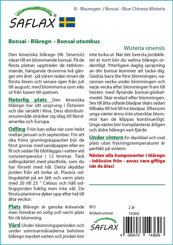 SAFLAX Garden in the Bag - Бонсай - Глициния китайская голубая - 4 семени - С субстратом в подходящем пакете - Wisteria sinensis